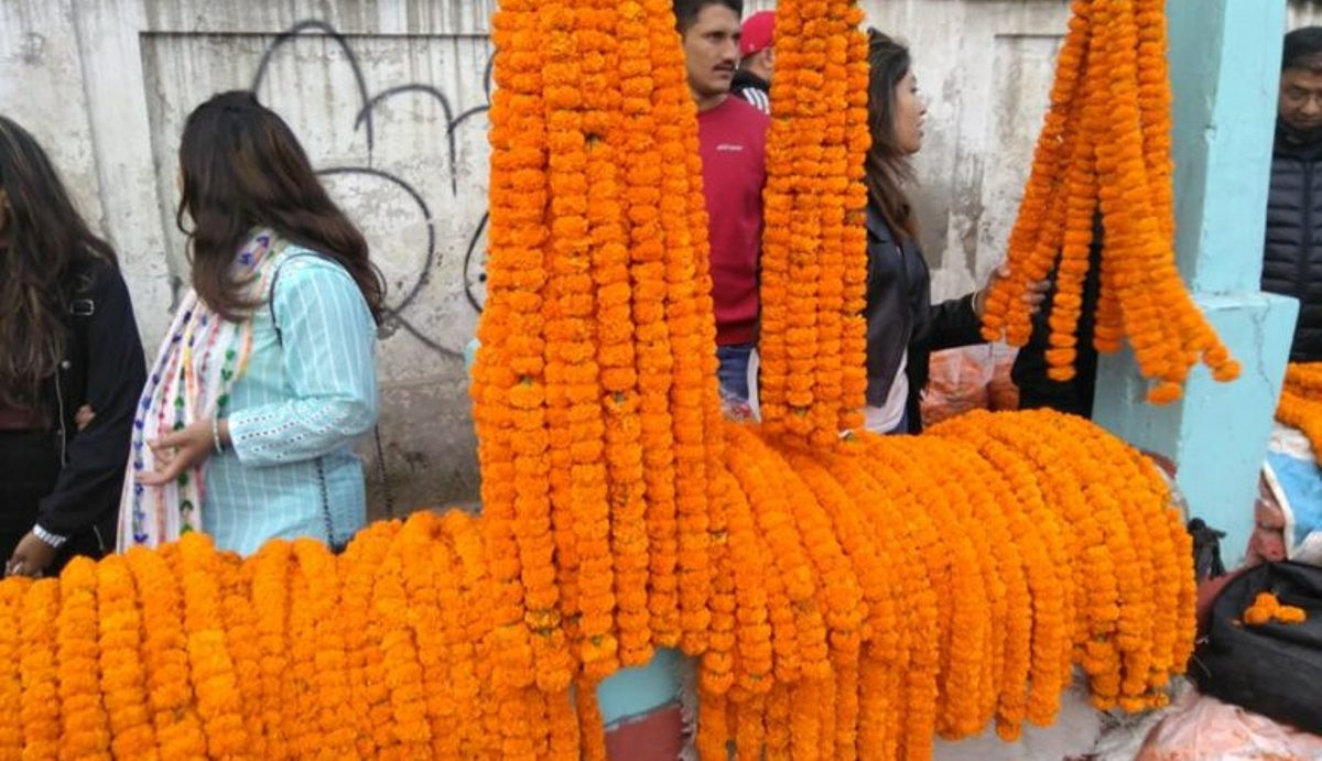 काठमाडौंमा मात्रै तिहारमा ५२ लाख माला खपत हुने, कुन मालाको मूल्य कति?
